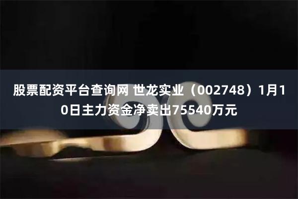 股票配资平台查询网 世龙实业（002748）1月10日主力资金净卖出75540万元